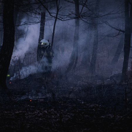 Pożar lasu w Szczejkowicach - 2 kwietnia 2020
