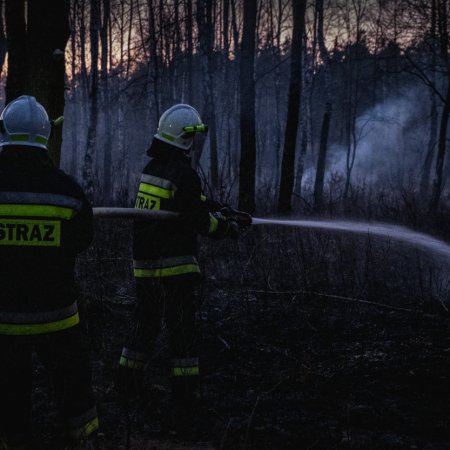 Pożar lasu w Szczejkowicach - 2 kwietnia 2020
