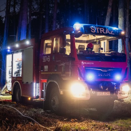 Pożar lasu w Szczejkowicach - 2 kwietnia 2020
