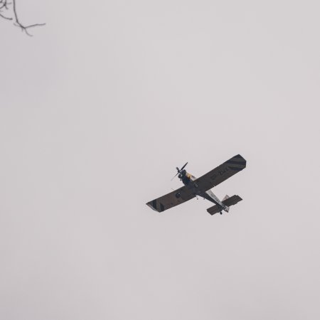 Pożar młodnika w Palowicach