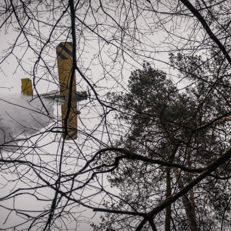 Pożar młodnika w Palowicach