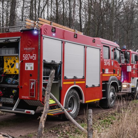 Pożar młodnika w Palowicach