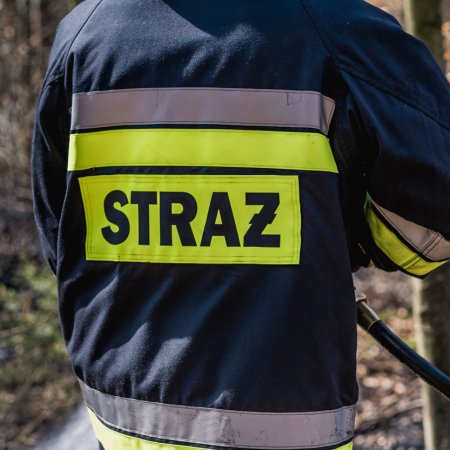 Pożar młodnika w Szczejkowicach