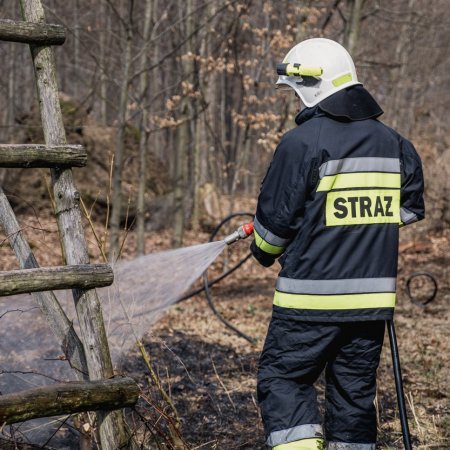 Pożar młodnika w Szczejkowicach