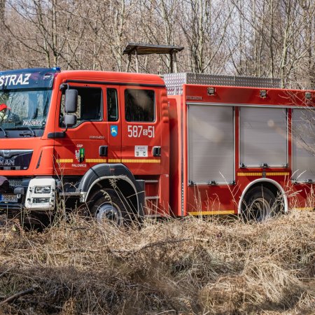 Pożar młodnika w Szczejkowicach