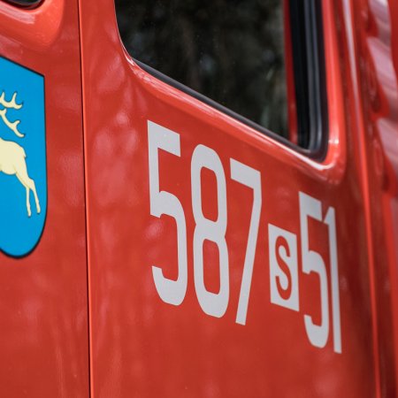 Pożar młodnika w Szczejkowicach