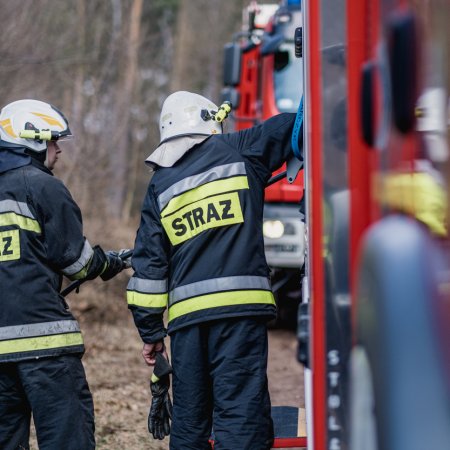 Pożar młodnika w Szczejkowicach