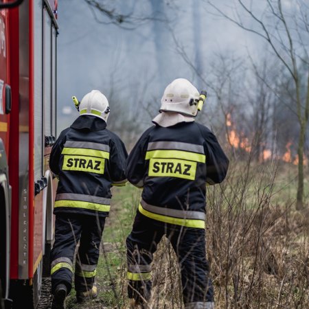 Pożar poszycia leśnego w Palowicach