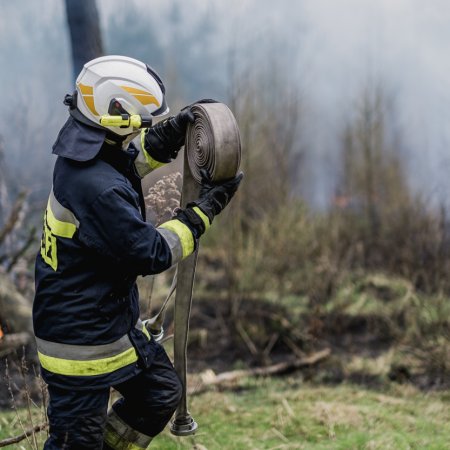 Pożar poszycia leśnego w Palowicach