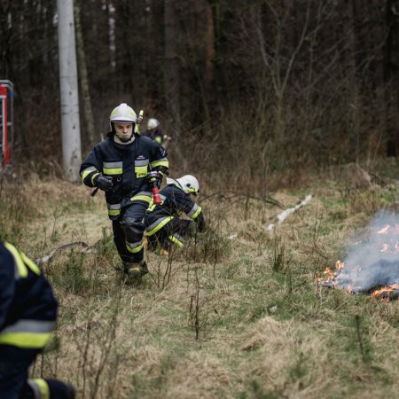 Pożar poszycia leśnego w Palowicach