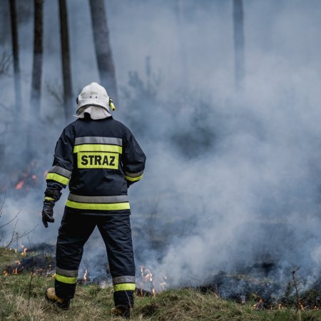 Pożar poszycia leśnego w Palowicach
