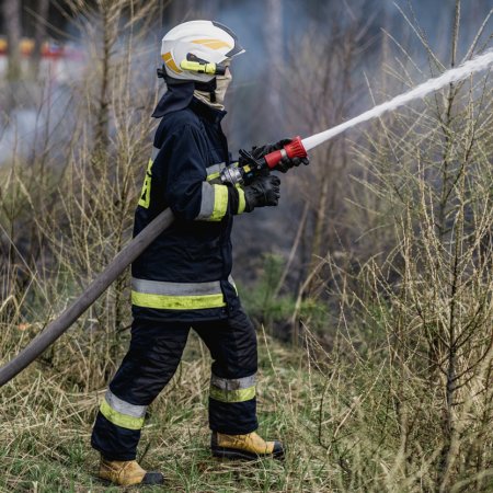Pożar poszycia leśnego w Palowicach