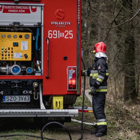 Pożar poszycia leśnego w Palowicach