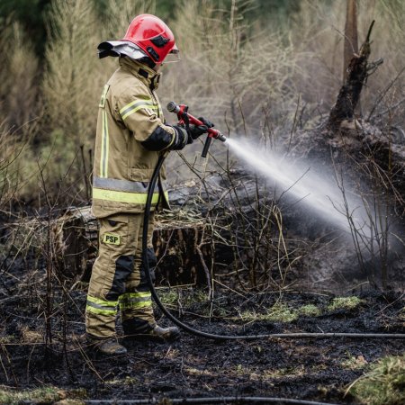 Pożar poszycia leśnego w Palowicach