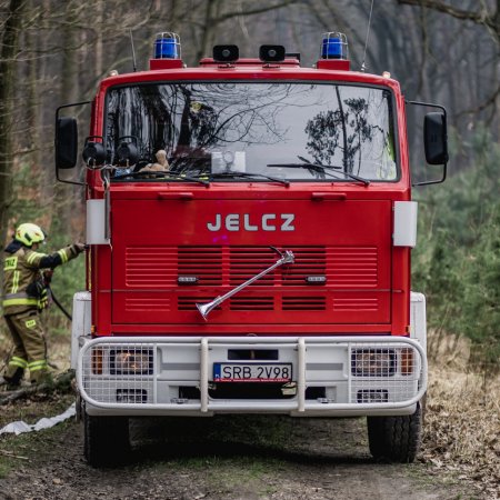 Pożar poszycia leśnego w Palowicach
