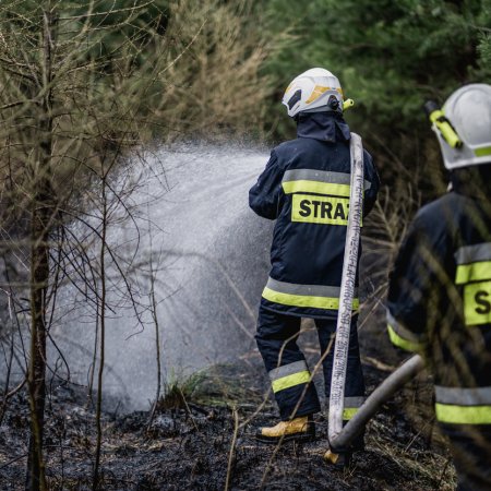 Pożar poszycia leśnego w Palowicach
