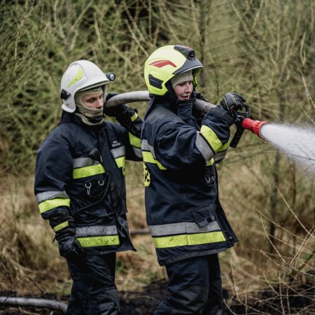 Pożar poszycia leśnego w Palowicach