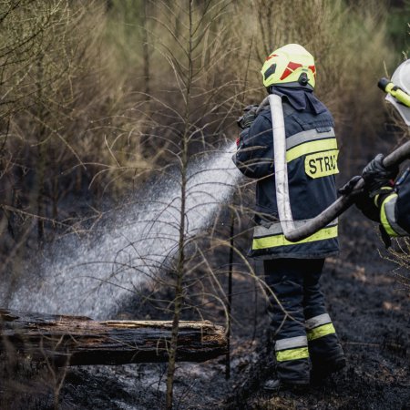 Pożar poszycia leśnego w Palowicach