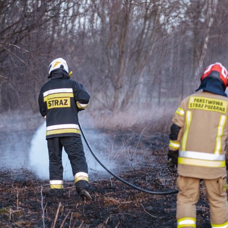 Pożar trawy - 24 lutego 2022
