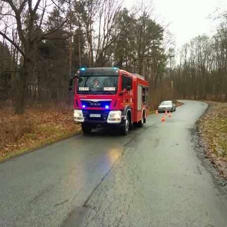 Usuwanie przewróconych drzew na ulicy Dębowej