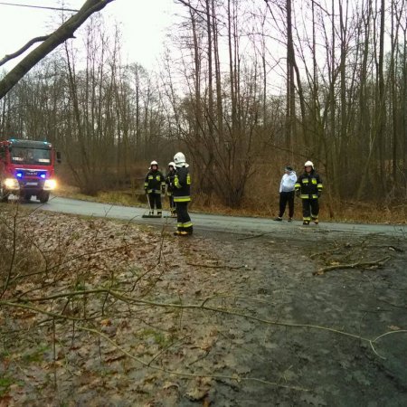 Usuwanie przewróconych drzew na ulicy Dębowej