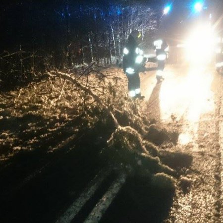 Przewrócone drzewo na ulicy Wiejskiej - 1 grudnia 2016
