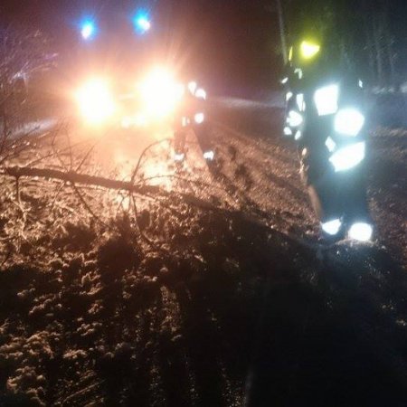 Przewrócone drzewo na ulicy Wiejskiej - 1 grudnia 2016
