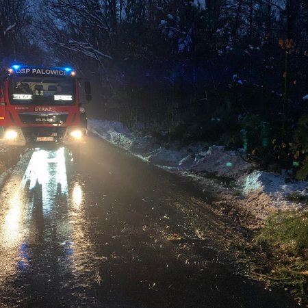 Usuwanie śniegołomów i pożar sadzy