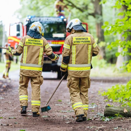 Usuwanie konaru drzewa