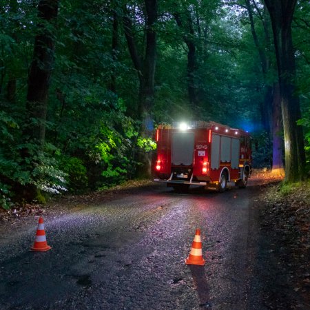 Usuwanie konaru drzewa - 2 czerwca 2018
