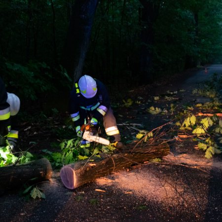 Usuwanie konaru drzewa