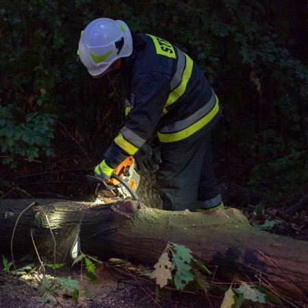 Usuwanie konaru drzewa