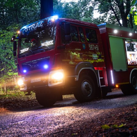 Usuwanie konaru drzewa