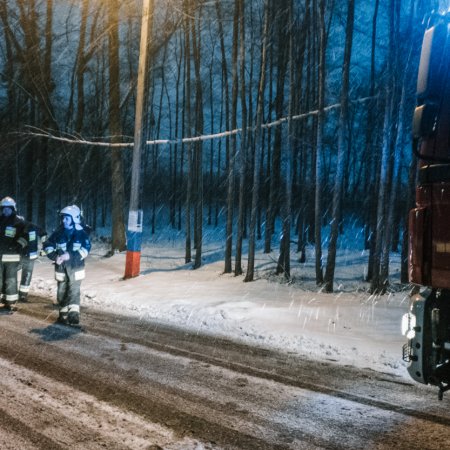 Usuwanie pochylonego drzewa