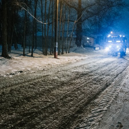 Usuwanie pochylonego drzewa