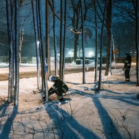 Usuwanie pochylonego drzewa