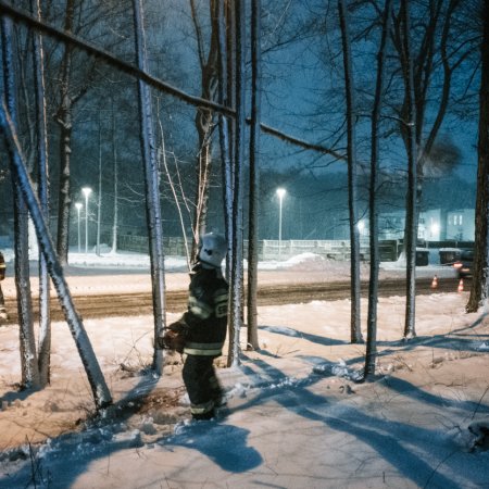 Usuwanie pochylonego drzewa