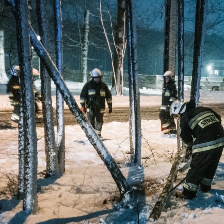 Usuwanie pochylonego drzewa