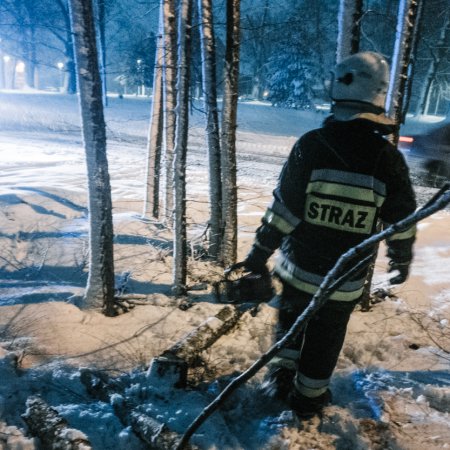 Usuwanie pochylonego drzewa