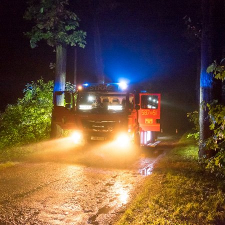 Usuwanie pochylonego drzewa - 23 września 2017
