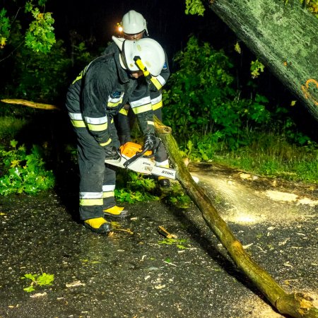 Usuwanie pochylonego drzewa