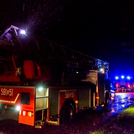 Usuwanie pochylonego drzewa