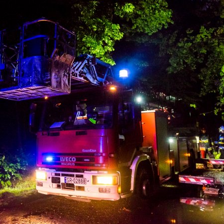 Usuwanie pochylonego drzewa