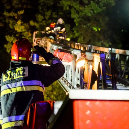 Usuwanie pochylonego drzewa