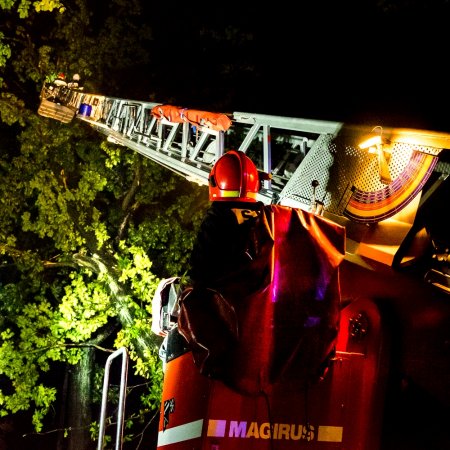 Usuwanie pochylonego drzewa