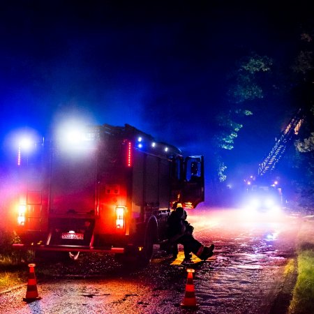 Usuwanie pochylonego drzewa