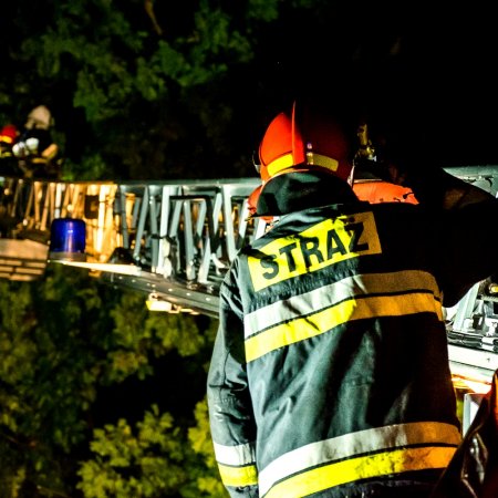 Usuwanie pochylonego drzewa