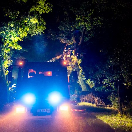 Usuwanie pochylonego drzewa