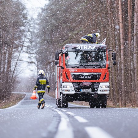 Usuwanie pochylonego drzewa - 26 lutego 2022
