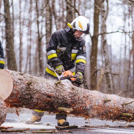 Usuwanie pochylonego drzewa